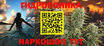 МДПВ Пугачёв