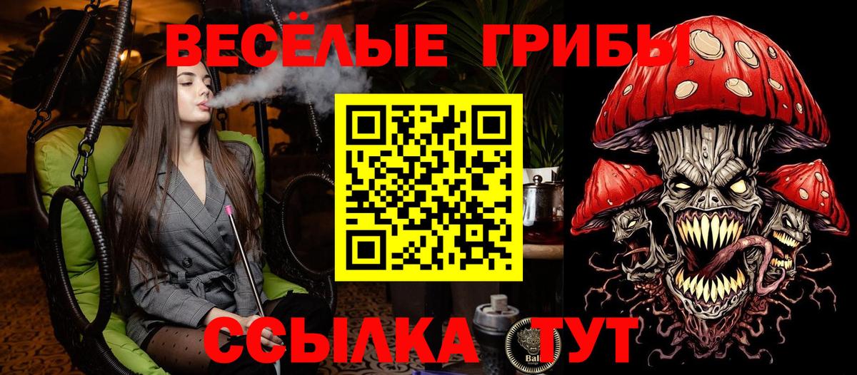 Псилоцибиновые грибы Psilocybe Пыть-Ях