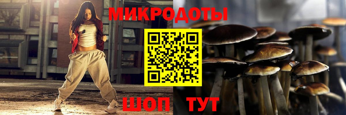Пыть-Ях  Псилоцибиновые грибы MAGIC MUSHROOMS  продажа наркотиков  Вход с VPN 